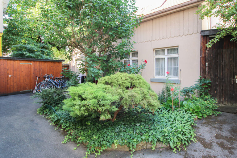 Wohnung mit Nebenhaus in begehrter Lage