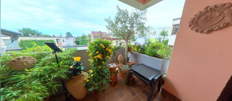 3 Zimmer Wohnung mit Süd-Balkon