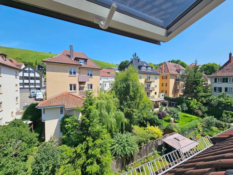 Blick vom Dachfenster
