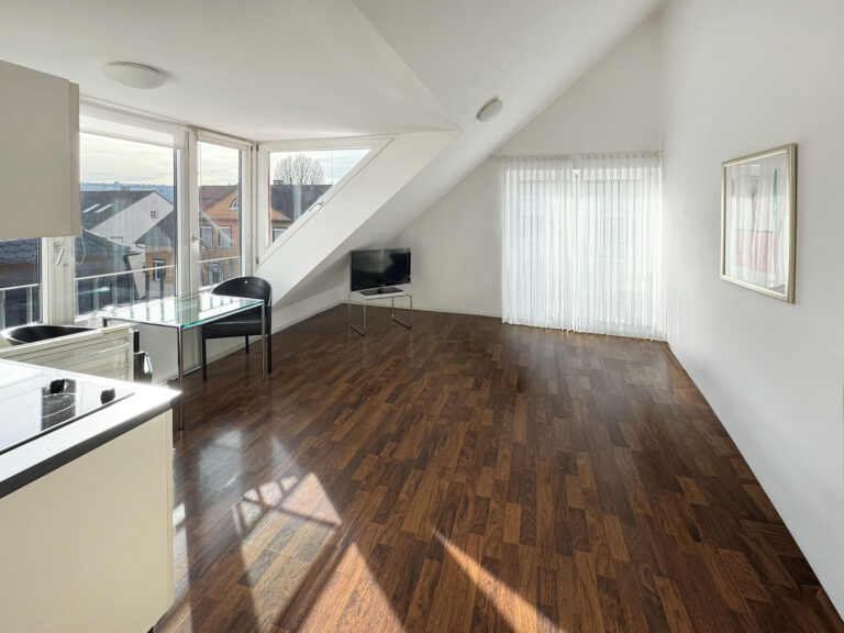 Helle 2 Zimmer-DG-Wohnung