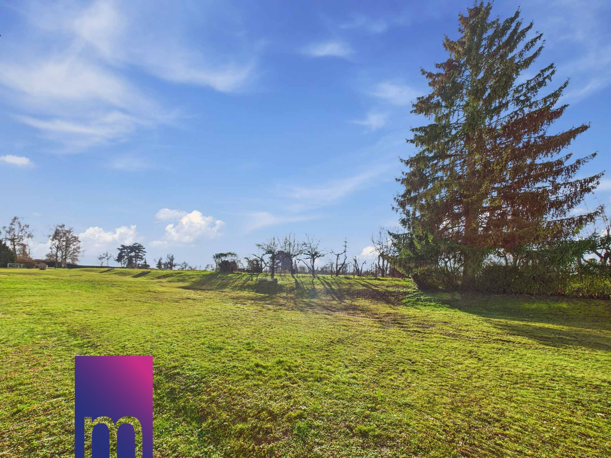 Idyllische Feldrandlage